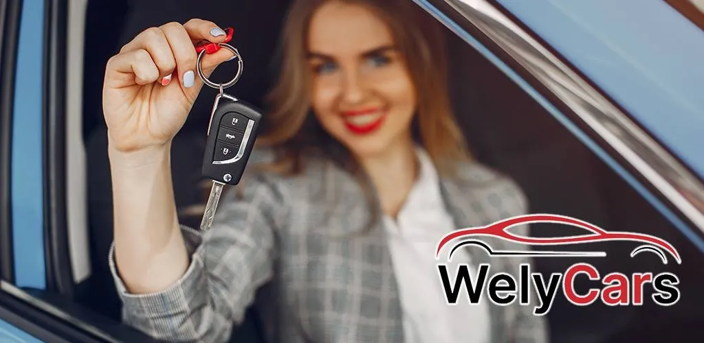 Iğdır Oto Kiralama Firmaları