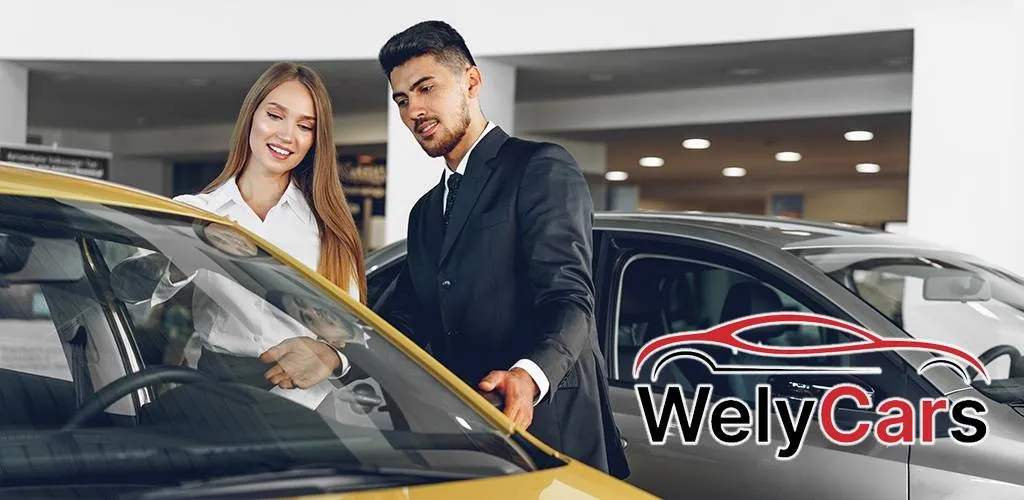 Selim Rent a car araçları